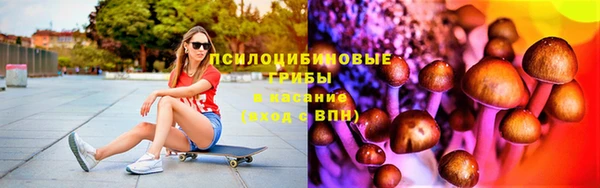шишки Беломорск