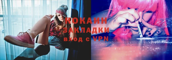 шишки Беломорск