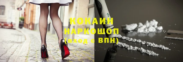 шишки Беломорск