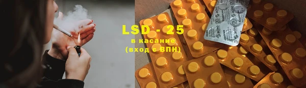 шишки Беломорск