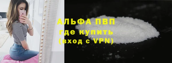 шишки Беломорск